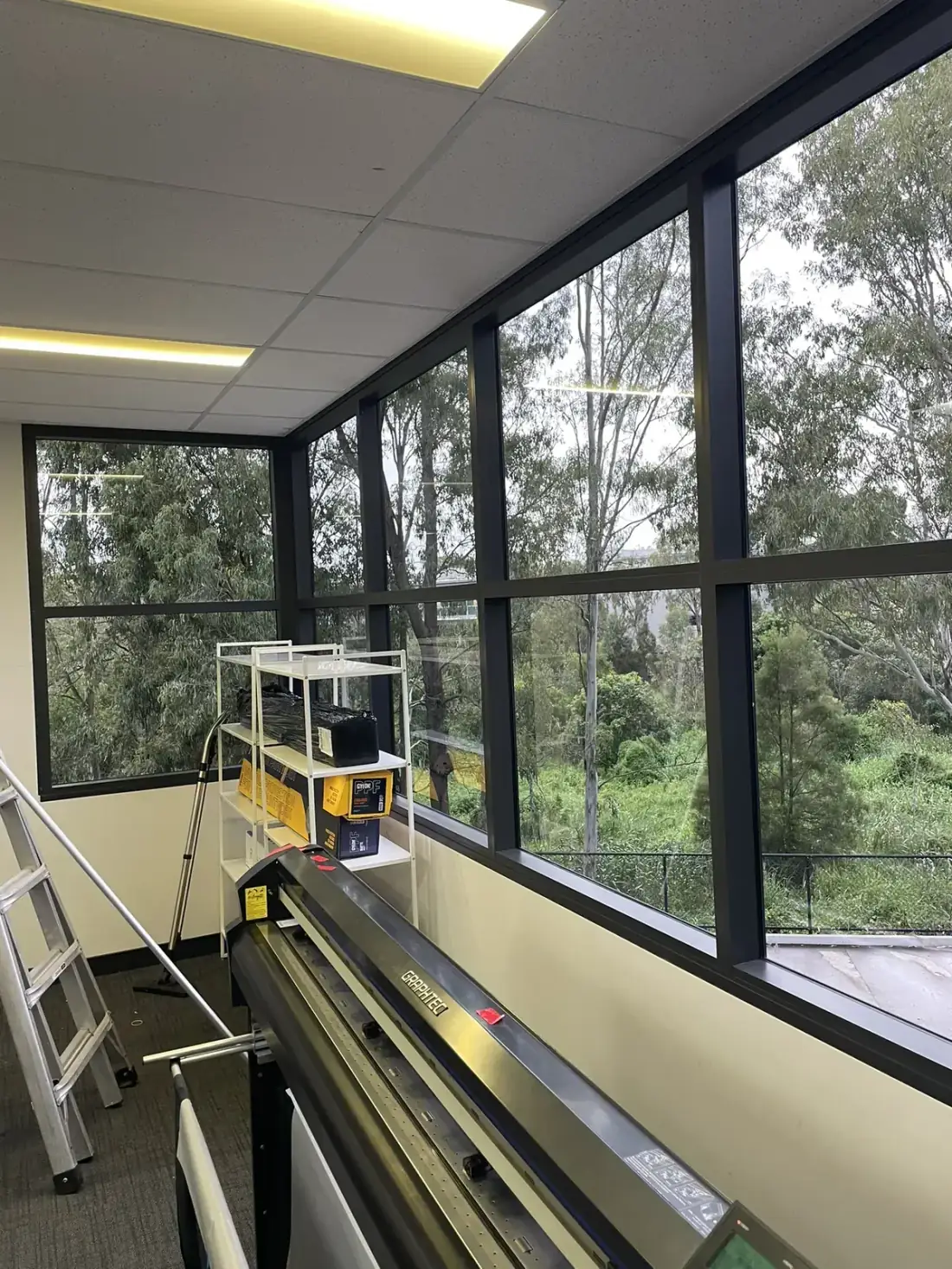 Interior office windows looking out to gum trees after an internal clean